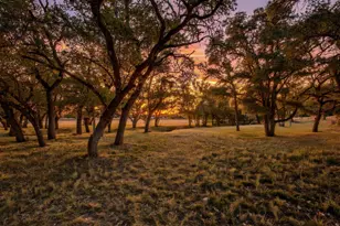 318 Rocky River Rd, Blanco, TX 78606 - Photo 30