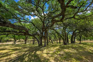 318 Rocky River Rd, Blanco, TX 78606 - Photo 26