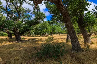 Tract 6 Palomino Oaks Dr, Harper, TX 78631 - Photo 8