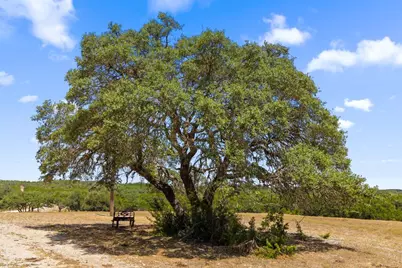 14511 Fm 32, Fischer, TX 78606 - Photo 8