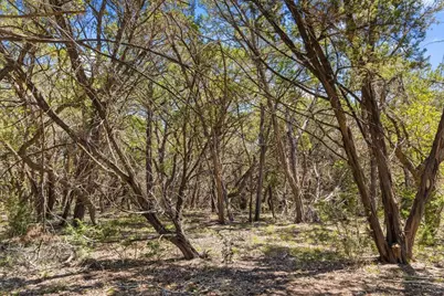 14511 Fm 32, Fischer, TX 78606 - Photo 44