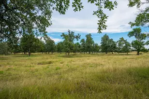 1554 Vintage Oaks Dr, Fredericksburg, TX 78624 - Photo 42