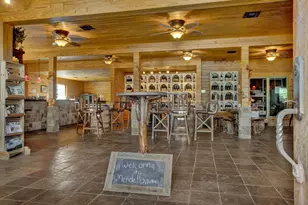 10207 US Hwy 290, Fredericksburg, TX 78624 - Photo 4
