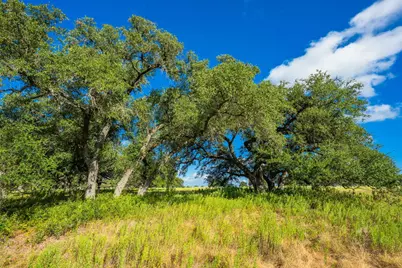 5541 W US Hwy 290, Johnson City, TX 78636 - Photo 14