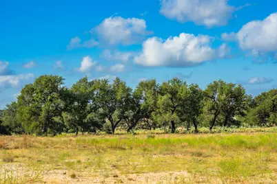 5541 W US Hwy 290, Johnson City, TX 78636 - Photo 10