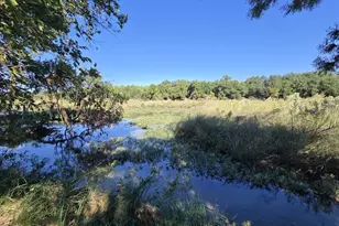 598 Dunagan Rd, Fort McKavett, TX 76841 - Photo 8