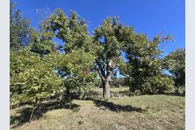 598 Dunagan Road, Fort McKavett, TX 76841 - Photo 1