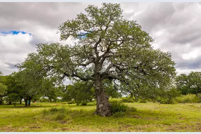 3145 N Grape Creek Rd, Fredericksburg, TX 78624 - Photo 14