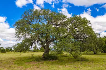 3145 N Grape Creek Rd, Fredericksburg, TX 78624 - Photo 8