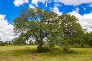 3145 N Grape Creek Rd, Fredericksburg, TX 78624 - Photo 8