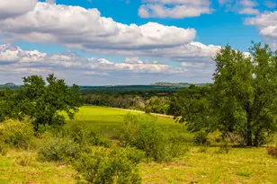 3145 N Grape Creek Rd, Fredericksburg, TX 78624 - Photo 24