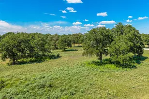 327 S Stag Trail, Fredericksburg, TX 78624 - Photo 32