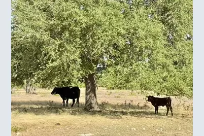 328 Colt Valley Rd, Fredericksburg, TX 78624 - Photo 12