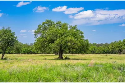Lot 79 Stock Pond Dr, Harper, TX 78631 - Photo 4