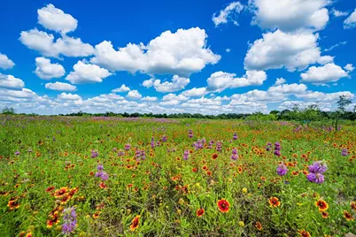 11290 E US Hwy 290, Fredericksburg, TX 78624 - Photo 40