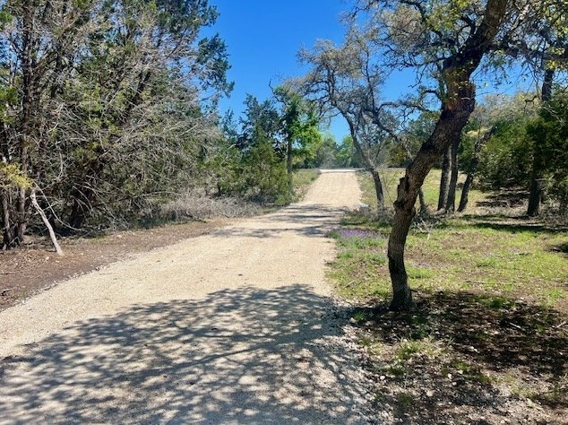 290 Estralla Cv, Blanco, TX 78606