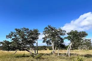 Lot 41 Buckskin Path, Fredericksburg, TX 78624 - Photo 1