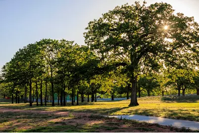 238 Interlaken St., Fredericksburg, TX 78624 - Photo 4
