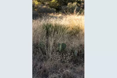 Lot 40 W Ranch Rd 962, Round Mountain, TX 78663 - Photo 8