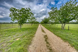 11446 N State Hwy 16, Fredericksburg, TX 78624 - Photo 16