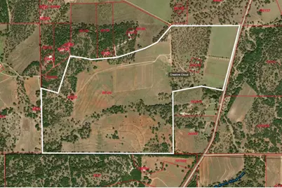 11446 N State Hwy 16, Fredericksburg, TX 78624 - Photo 4