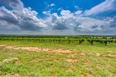 11446 N State Hwy 16, Fredericksburg, TX 78624 - Photo 8