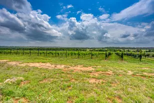 11446 N State Hwy 16, Fredericksburg, TX 78624 - Photo 8