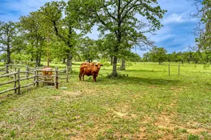 11446 N State Hwy 16, Fredericksburg, TX 78624 - Photo 22