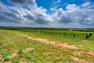 11446 N State Hwy 16, Fredericksburg, TX 78624 - Photo 10