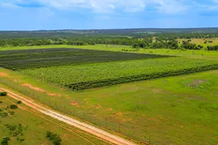 11446 N State Hwy 16, Fredericksburg, TX 78624 - Photo 12