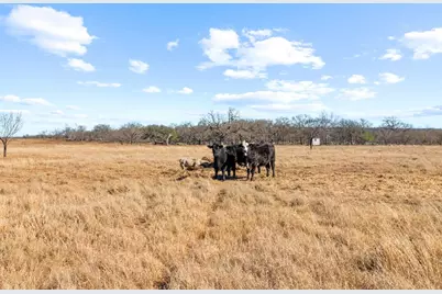 146 Pehl Farm Lane, Fredericksburg, TX 78624 - Photo 98