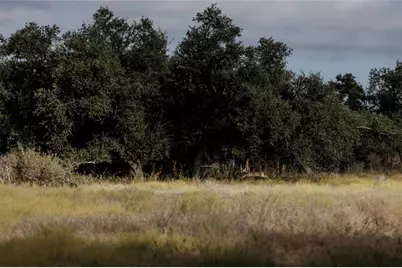 Lot 1 Legacy Hills Dr, Johnson City, TX 78636 - Photo 2