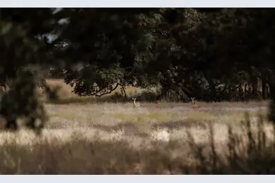 Lot 1 Legacy Hills Dr, Johnson City, TX 78636 - Photo 4