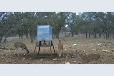 Tract 7 Stevens Ranch Rd, Harper, TX 78631 - Photo 26