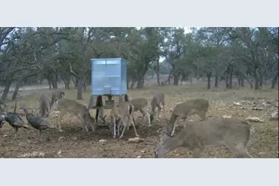 Tract 7 Stevens Ranch Rd, Harper, TX 78631 - Photo 28
