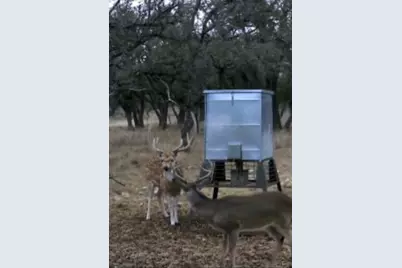 Tract 7 Stevens Ranch Rd, Harper, TX 78631 - Photo 22