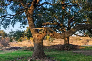 409 E Main St, Llano, TX 78643 - Photo 64