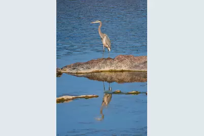 409 E Main St, Llano, TX 78643 - Photo 12