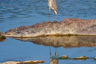 409 E Main St, Llano, TX 78643 - Photo 12