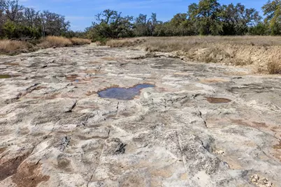 203 Rheingold School Rd, Fredericksburg, TX 78624 - Photo 12