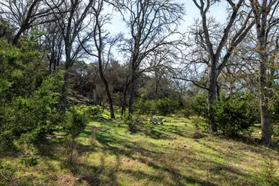 203 Rheingold School Rd, Fredericksburg, TX 78624 - Photo 16
