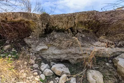 203 Rheingold School Rd, Fredericksburg, TX 78624 - Photo 10