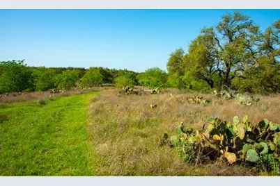 203 Rheingold School Rd, Fredericksburg, TX 78624 - Photo 42