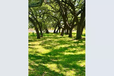 646 Victor Eckhardt Rd, Fredericksburg, TX 78624 - Photo 12