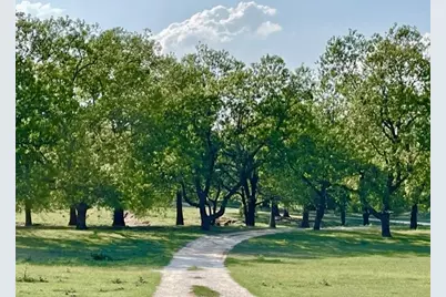 646 Victor Eckhardt Rd, Fredericksburg, TX 78624 - Photo 16