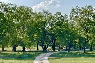 646 Victor Eckhardt Rd, Fredericksburg, TX 78624 - Photo 16