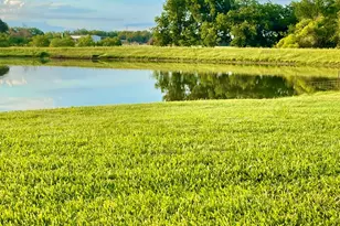 646 Victor Eckhardt Rd, Fredericksburg, TX 78624 - Photo 8