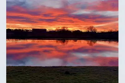 646 Victor Eckhardt Rd, Fredericksburg, TX 78624 - Photo 6