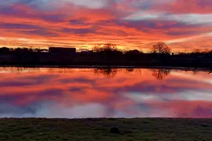 646 Victor Eckhardt Rd, Fredericksburg, TX 78624 - Photo 6