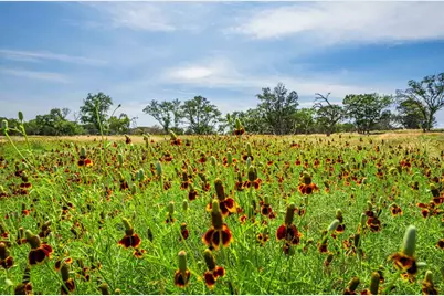 505 Fm 473, Comfort, TX 78013 - Photo 46